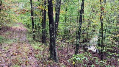 video clip of a wide walking trail leading to Riffle Falls in Cottageville, WV