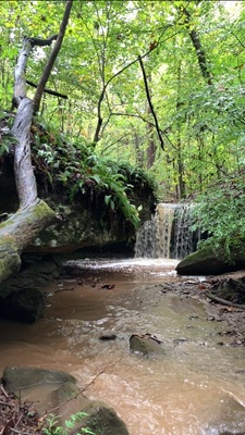 video clip of the Riffle Waterfall on Sept. 25, 2025 in Cottageville, WV